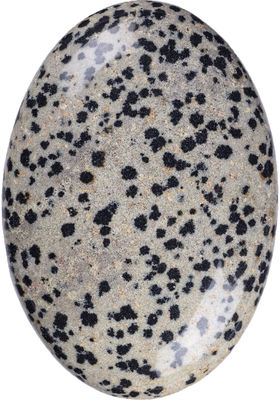 Doğal cilalı Dalmatian Jasper Palmiye Taşı Oval Şekilli Dalmatian Kristal Enerji Taşı Bina Dekorasyonu