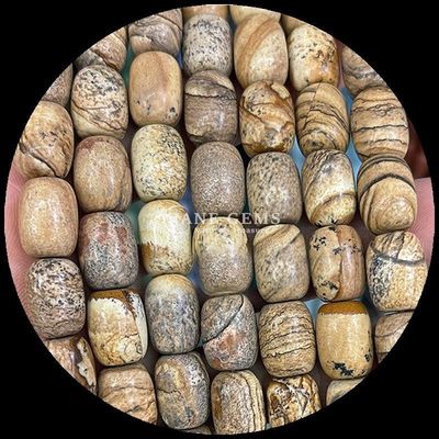 Gem Bead Dalmatian Jasper Natural Crystal Gemstone Barrel Shape Loose Bead Strands for Jewelry Making (Dalmatik Yaspi Doğal Kristal Değerli Taş Fıçı Şekli)